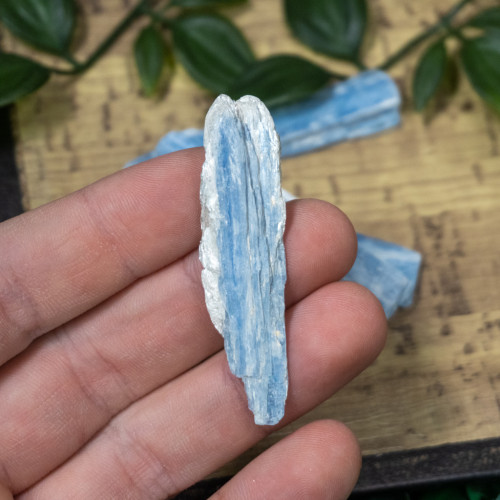 Small Raw Blue Kyanite