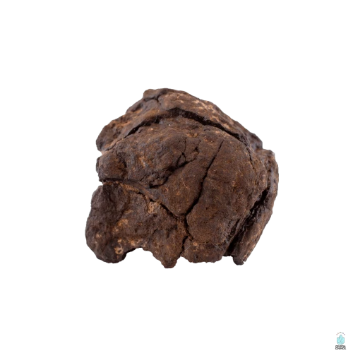 NWA 4420 Meteorite