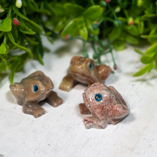 Dolomite Toad