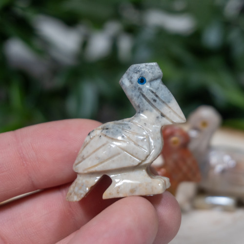 Dolomite Pelican