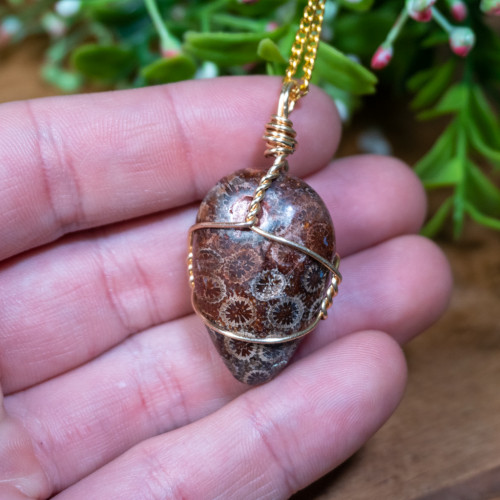 Fossilized Moth Carapice Necklace #1