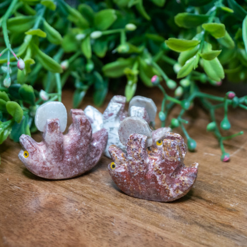 Dolomite Otter With Oyster