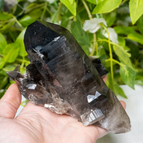 Smoky Quartz #5