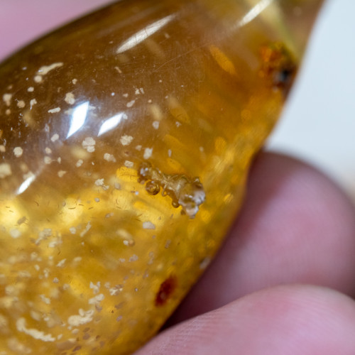 Amber Amulet With Insect #11