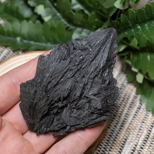 Black Kyanite Fan #8