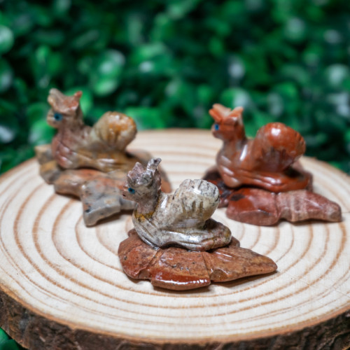 Dolomite Snail on Leaf