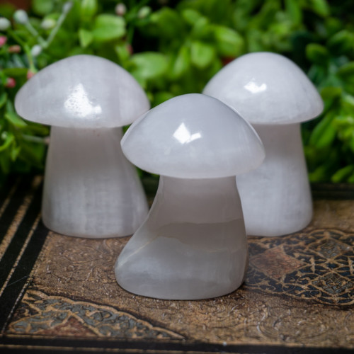 Mangano Calcite Mushroom