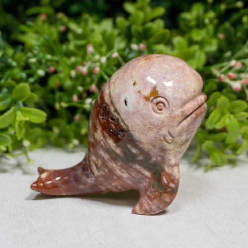 Ocean Jasper Whale #1