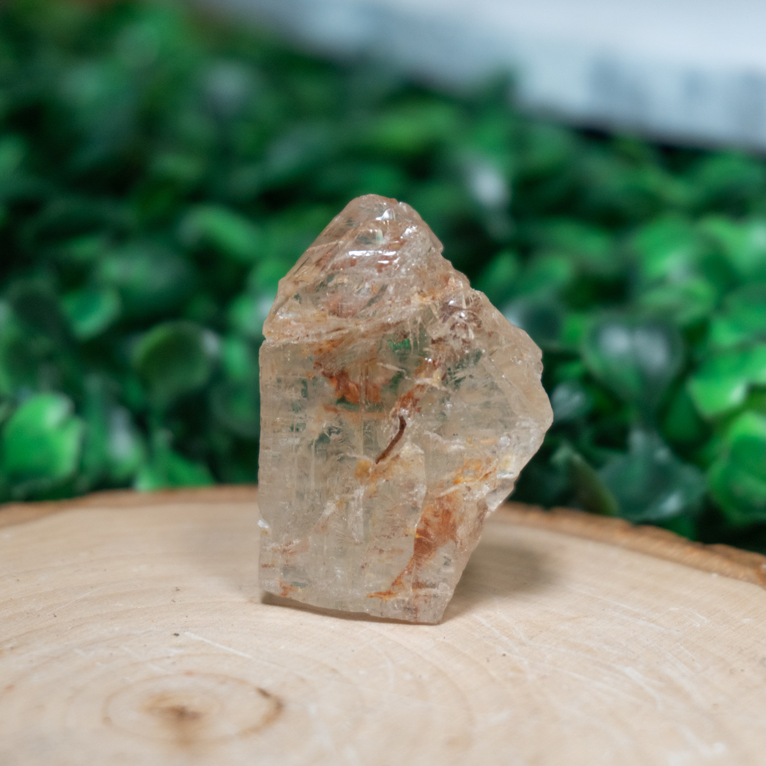 Colorless Rough Topaz Colorless Topaz #1 - The Crystal Council