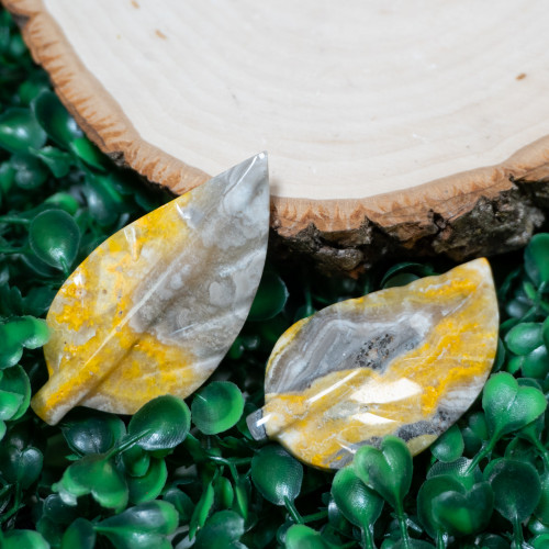Bumblebee Jasper Leaf