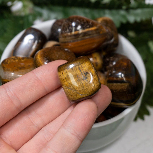 Tiger Eye Tumbled XL
