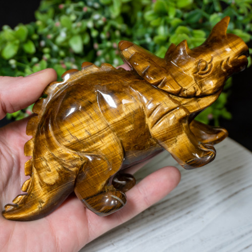 Tiger Eye Triceratops #1