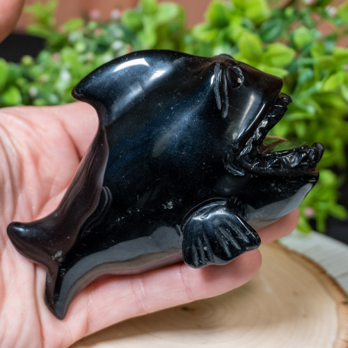 Obsidian Pirhana