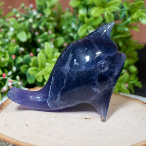 Dark Purple Fluorite Narwal