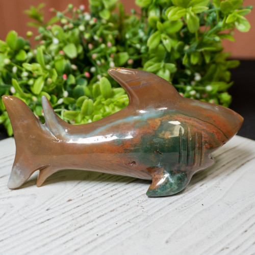 Jasper Shark #1