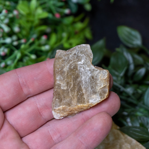 Small Raw Golden Mica