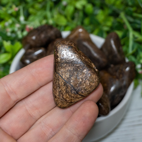 XL Bronzite Tumbled