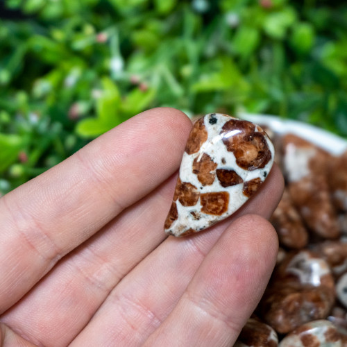 Garnet in Wollastonite Tumbled