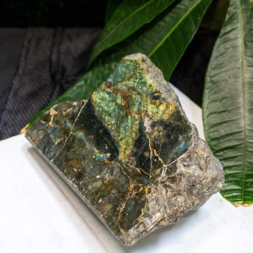 XL Half-Polished Labradorite #6
