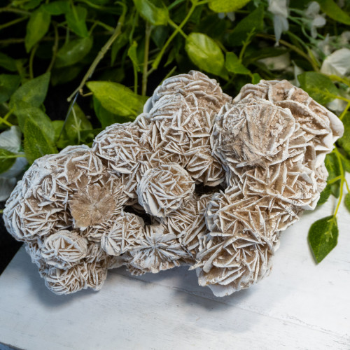 XL Desert Rose Selenite #1