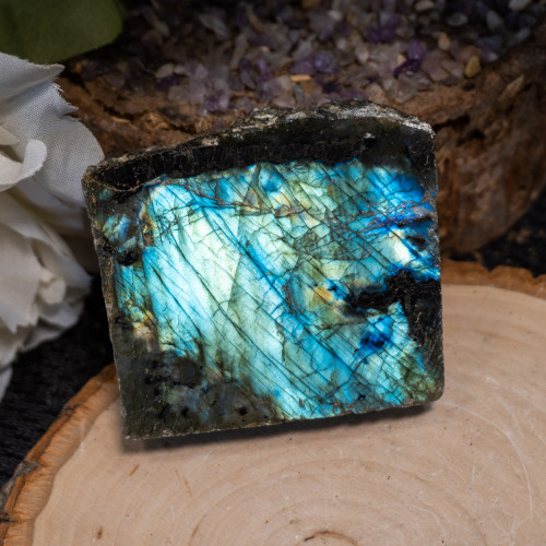 Palm Sized Half-Polished Labradorite #19