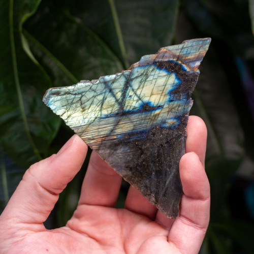 Palm Sized Half-Polished Labradorite #11