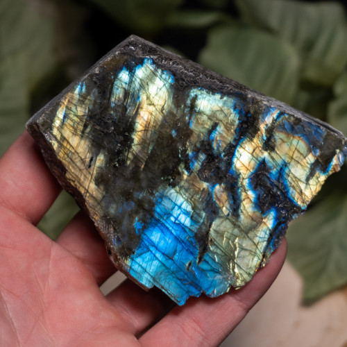 Palm Sized Half-Polished Labradorite #3