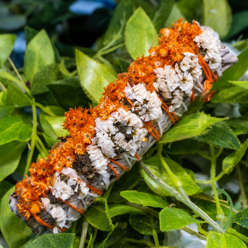 8" Orange Flower Sage
