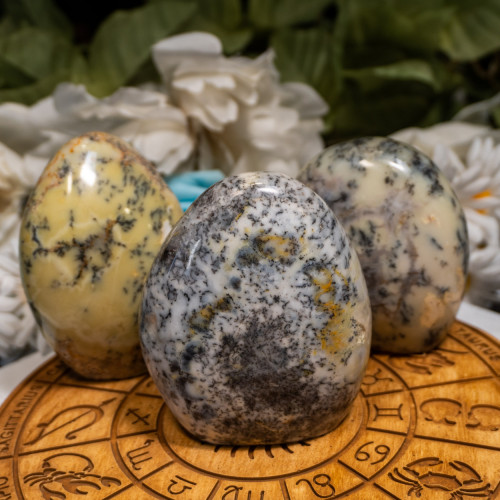 Medium Random Dendritic Agate Freeform