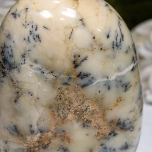 Dendritic Agate Freeform #5