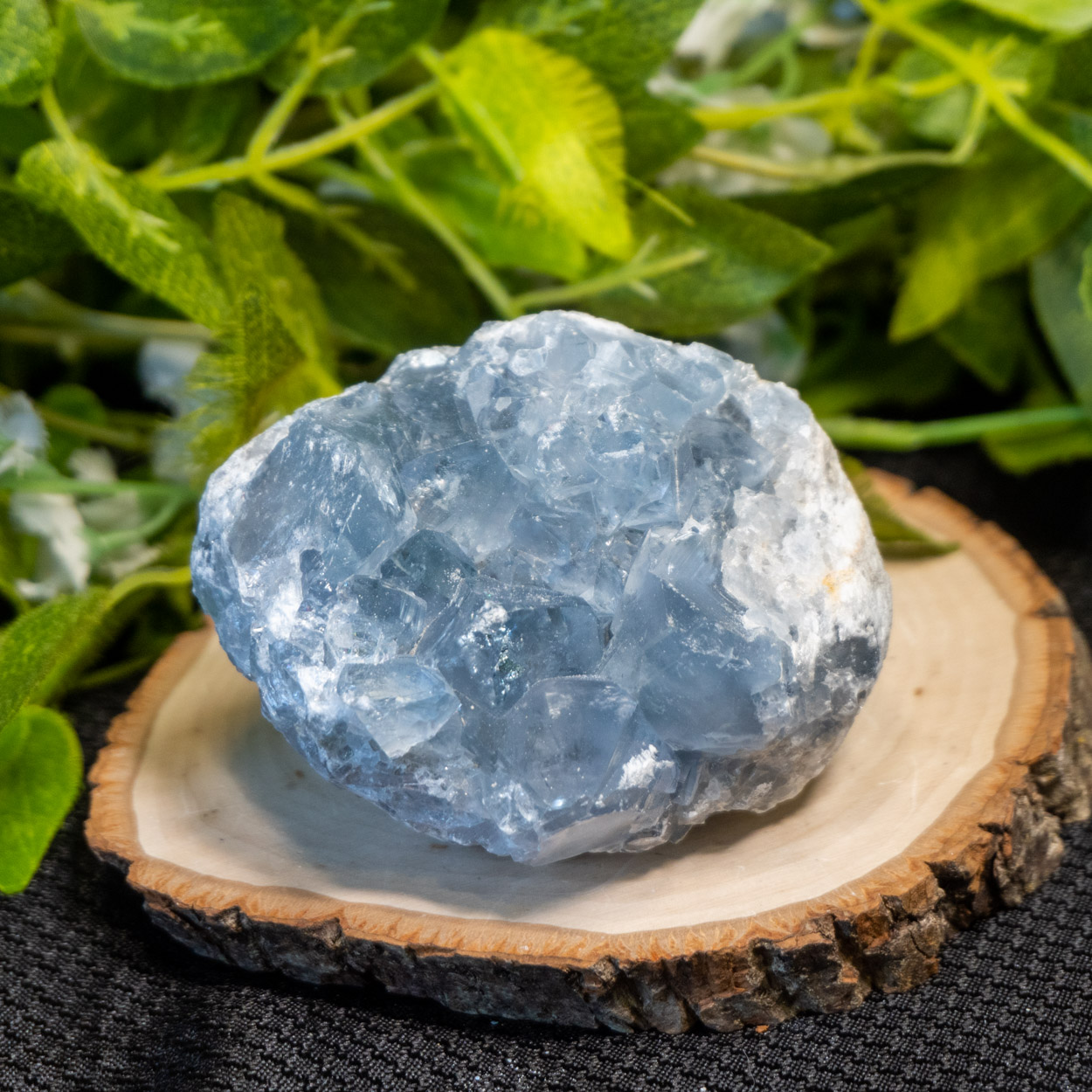 Celestite 1 The Crystal Council