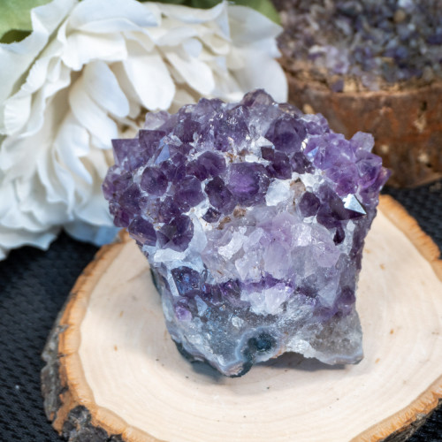 Brazilian Amethyst Raw Cluster #16