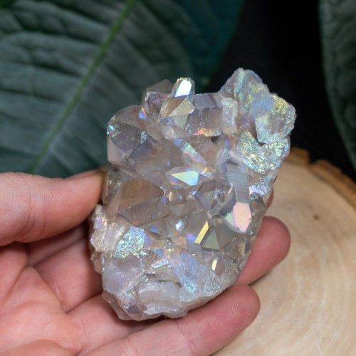 Angel Aura Cluster #13