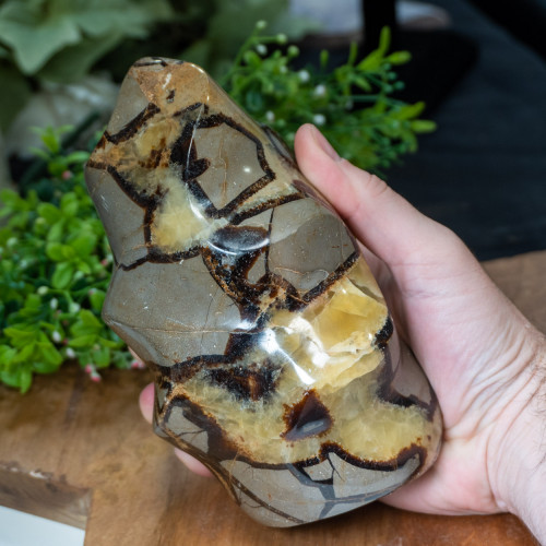 Septarian Flame #1