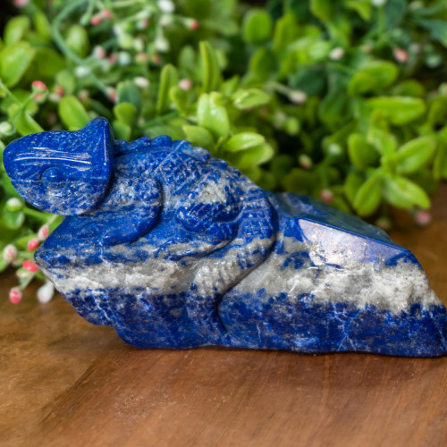 Lapis Lazuli Chameleon #1