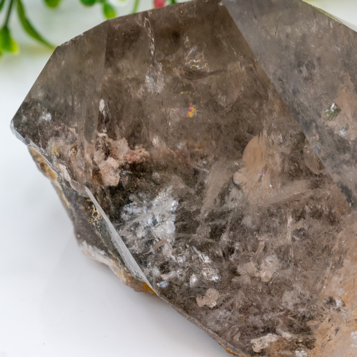 Garden Quartz (Lodolite) 10 The Crystal Council