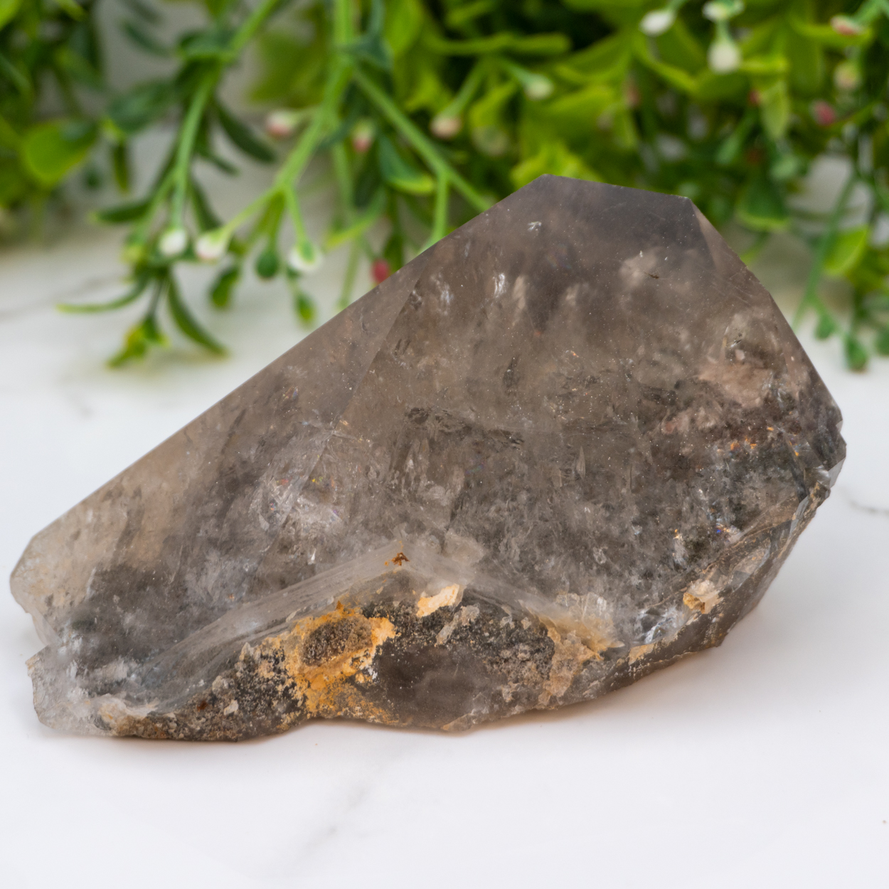 Garden Quartz (Lodolite) 10 The Crystal Council