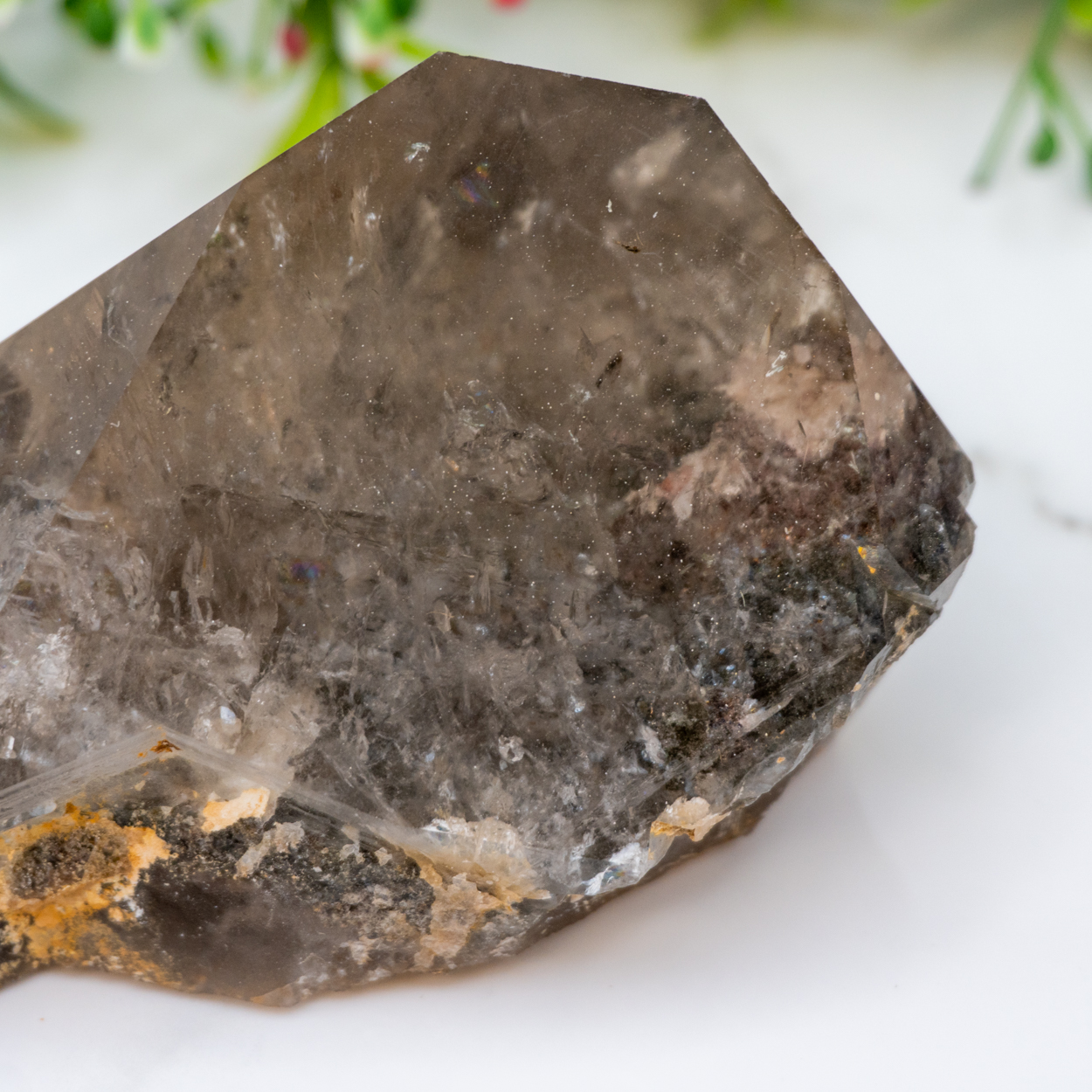 Garden Quartz (Lodolite) 10 The Crystal Council