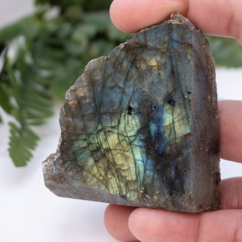Half Polished Labradorite Slice #9