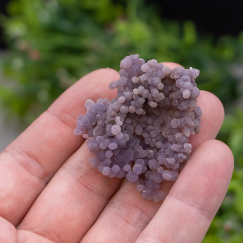 Medium Grape Agate #7