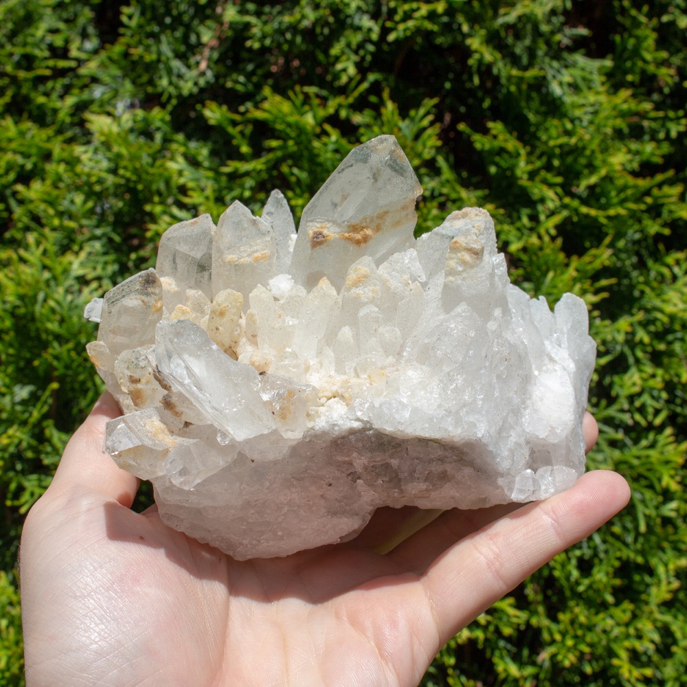 Chlorite in Quartz Family Cluster