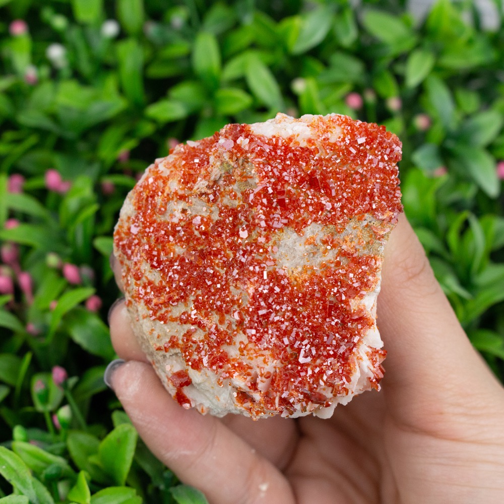 Vanadinite Druzy Cluster