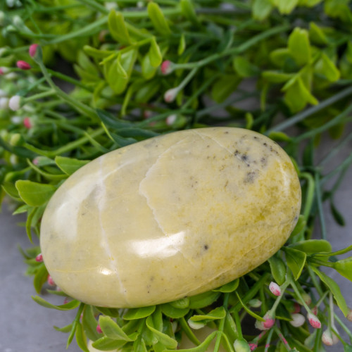 Serpentine Palmstone