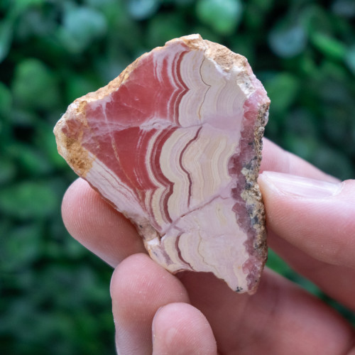 Half Polished Rhodochrosite Slice #2