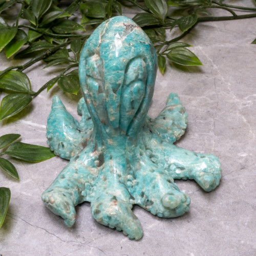 Amazonite Octopus