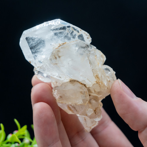 Faden Quartz #5