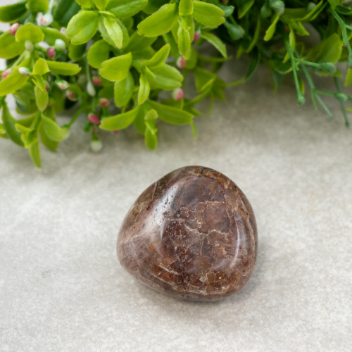 Hilutite #4