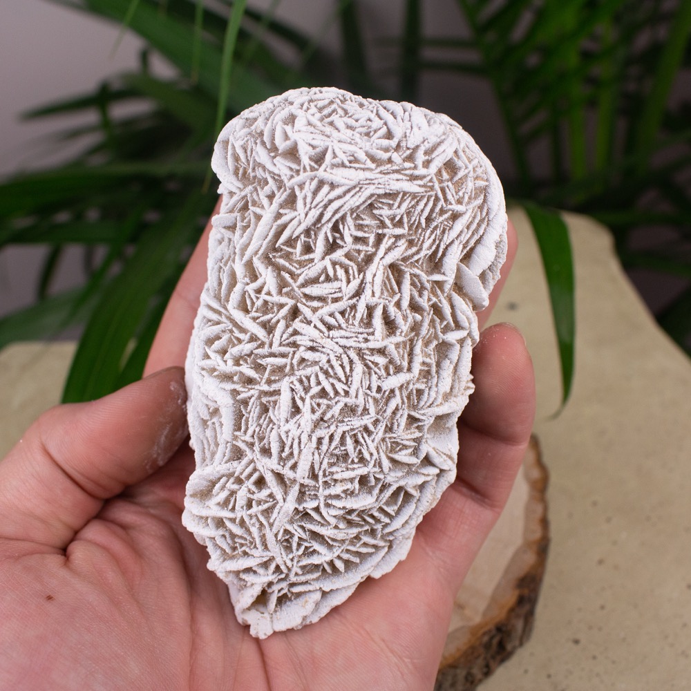 Desert Rose Selenite #16