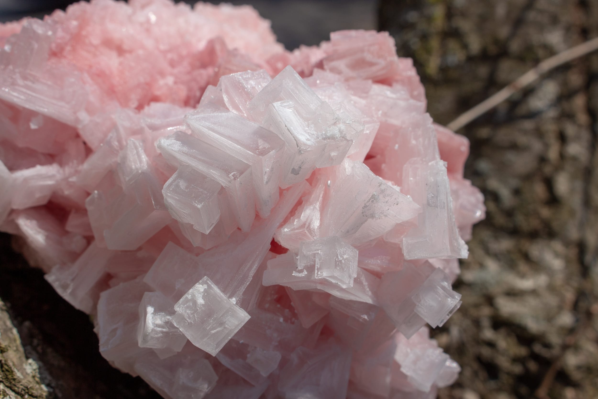 pink-halite-meanings-and-crystal-properties-the-crystal-council