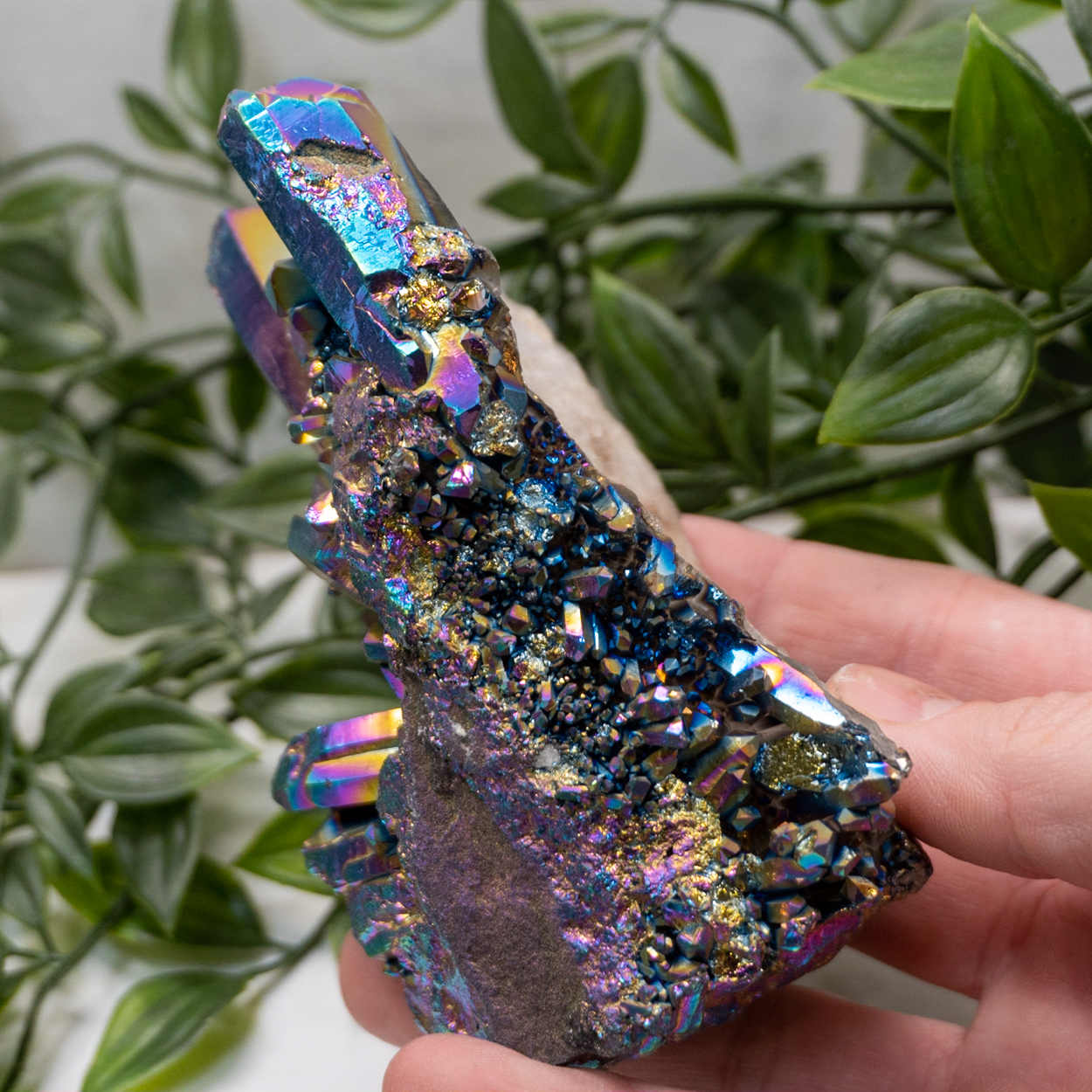 Titanium Quartz 4 The Crystal Council